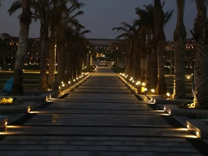 Long palm-lined promenade with ground lights in the evening