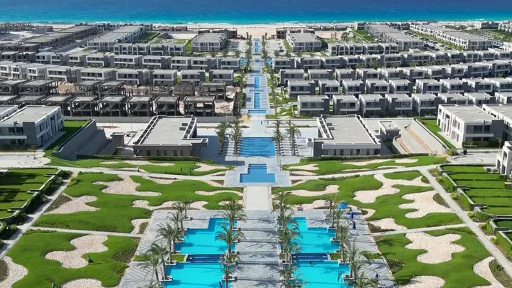سيفيا رأس الحكمة