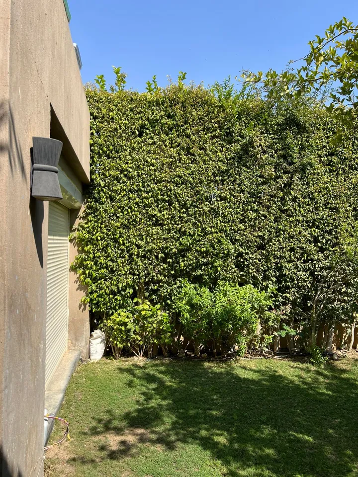 Spacious 375 m² townhouse, 255 m² plot, for sale in Palm Hills Golf Extension