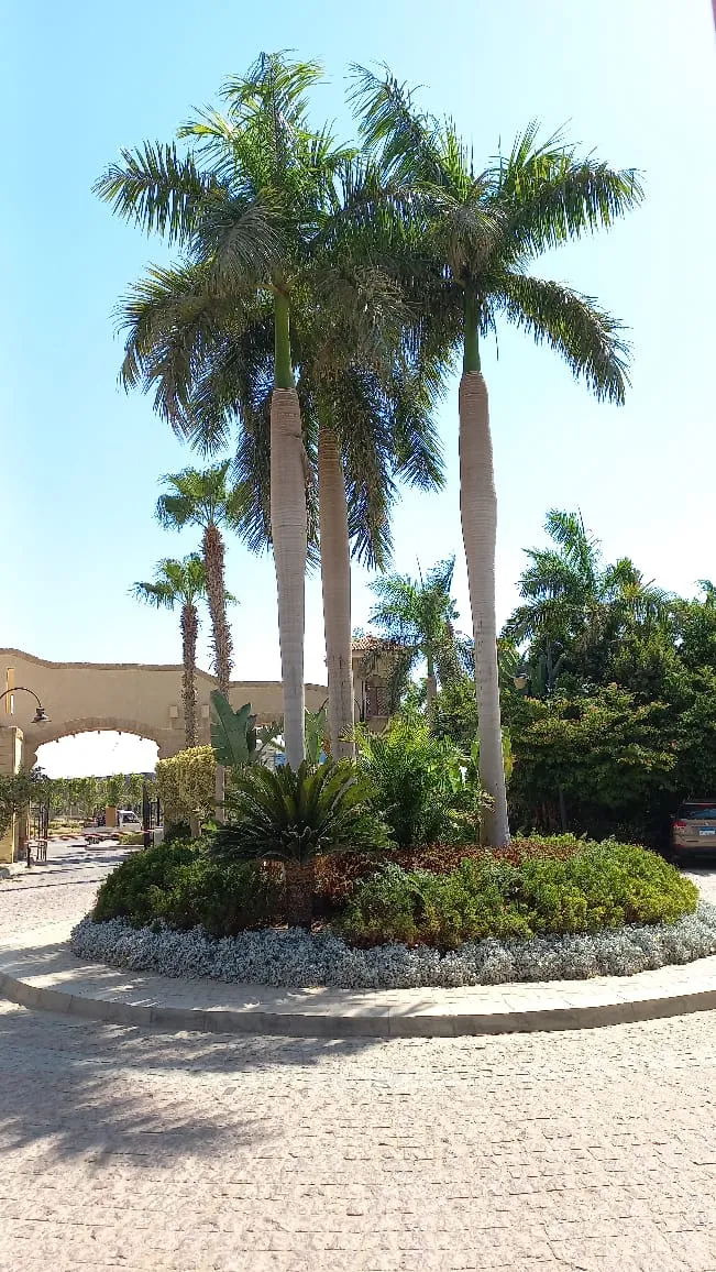 282 m² townhouse with a 45 m² roof and nanny's room for sale in Dara Gardens